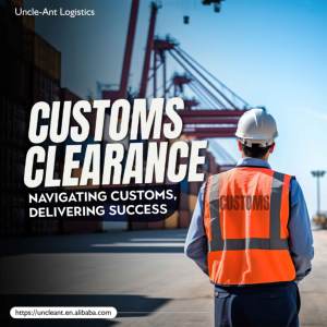 चीन से दुबाई के लिए चीन से दुबई तक के परिवहन एजेंट शिपिंग लागत - Product Image 6