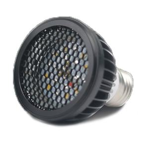 Lampe chauffante pour reptiles écologique à spectre complet UVB, complément de calcium solaire pour tortue terrestre, lézard, boîte pour animaux de compagnie - Product Image 5