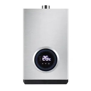 low price stainless steel electric water heater ionizer gas boiler Gas Water Heater