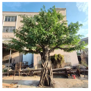 Árboles Banyan de plantas simuladas personalizados para hoteles de interior, centros comerciales, Puntos escénicos, árbol grande <span class=keywords><strong>Artificial</strong></span>, árbol de Ficus verde - Product Image 6