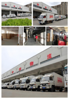 Service mondial d'expédition express porte-à-porte DHL UPS FedEx SF EMS USA Express Courier Transitaire Agent de livraison
