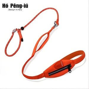 Dubbele schokabsorberende hondenriem met reflecterende heuptas voor handsfree hondenlopen, geschikt voor grote honden en buitenactiviteiten - Product Image 1