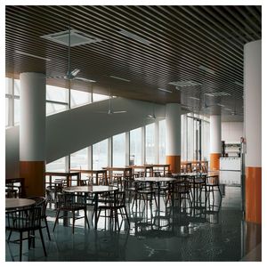 Techo <span class=keywords><strong>de</strong></span> Aluminio Perforado Personalizado Prima, Ignífugo, Aislamiento Térmico, Cualquier Patrón <span class=keywords><strong>de</strong></span> Orificios, Diámetro y Espaciado para Requisitos Acústicos - Product Image 5