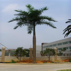 Nhà vườn đồ trang trí ngoài trời cây nhân tạo nhiệt đới trang trí nhà máy nhân tạo cây cọ nhân tạo cây dừa cho trang trí nội thất - Product Image 5