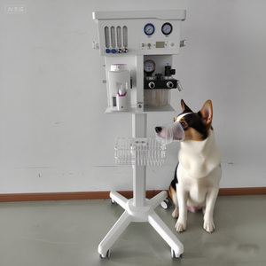 Appareil <span class=keywords><strong>d</strong></span>'anesthésie respiratoire avancé, multifonctionnel et économique, équipement vétérinaire - Product Image 6