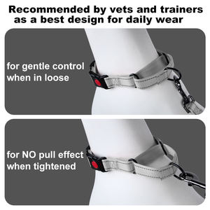 Hoge Kwaliteit Hond Training Halsband Nylon Verstelbare Zware Reflecterende <span class=keywords><strong>Martingale</strong></span> Halsband - Product Image 2
