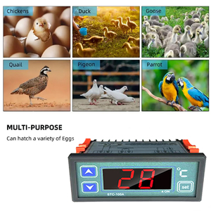 Contrôleur de température STC-100A pour la conservation des fruits et légumes, avec alarme de température, protection contre les surcharges et temporisation - Product Image 3