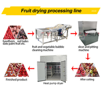 Ligne de transformation des fruits secs (raisins) en acier inoxydable industriel SUS316L, machine de lavage et de séchage des raisins, sécheuse à figues, pruneaux, raisins