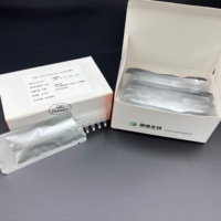 24 pruebas/kit Streptococcus (SS) Kit de detección de ácido nucleico (sonda fluorescente PCR) Reactivos químicos