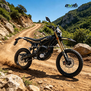 Motocicleta Eléctrica Todoterreno de Alta Velocidad 95km/h 520N.m Ultra Bee HP X - Product Image 3