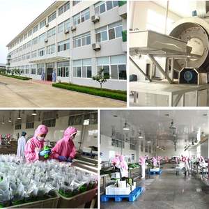 海藻麺ゼロシュガーゼロファット低カロリーケルプヌードル - Product Image 6