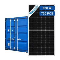 Panneau solaire monocristallin TOPCon Trina N-Type 620Watt Green Energy Vertex N NEG19RC.20 590-620W en verre trempé 590W 595W 610W 615W