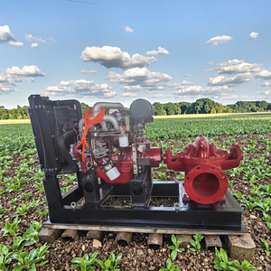 ISO chứng nhận chất lượng cao nâng cao bơm nước tưới tiêu DIESEL bơm hút đôi - Product Image 2