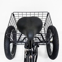 Tricycle électrique à 3 roues de 20 pouces, batterie 13 Ah, moto électrique à trois roues, scooter électrique pour adultes