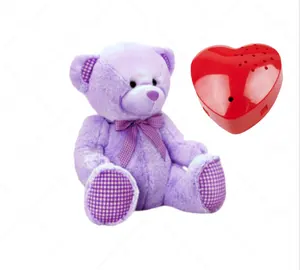 CE Bear Stuffed Animals com gravador de voz Set 60 segundos Voice Sound Recorder Módulo 16 polegadas Soft Plush Presentes para meninas ou menino