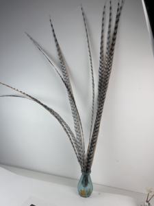 Plumes de faisan artificielles longues en gros, plumes de faisan Reeves, plumes de faisan pour costumes de carnaval - Product Image 6