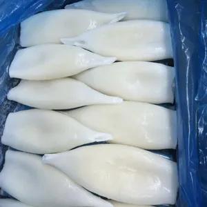 Harga bagus Frozen Clean U10 Squid seluruh Illex cumi dalam cumi