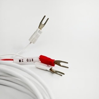 Termómetro RTD de resistencia de platino con resorte PT100 PT1000 IP65, precio directo de fábrica, suministro del fabricante, se acepta OEM/ODM