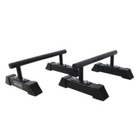 Barres parallèles de gymnastique, Push Up, en acier, RIAO