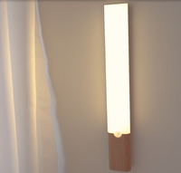 2025 nouveau USB charge Intelligent magnétique corps humain Induction applique armoire lampe lampe de chevet utilisation multi-scène