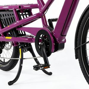 Potente Bicicleta Eléctrica de Carga Industrial DIY OEM con Cuadro de Aluminio, 9 Velocidades 11-38T, para Adultos - Product Image 4