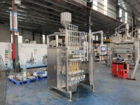 Machine automatique haute vitesse et haute précision à plusieurs voies pour le remplissage de sachets/bols en plastique de sirop, sauce tomate et shampoing – Prix usine