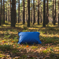 Oreiller de camping gonflable portable avec mousse à haute résilience |   Revêtement en polyester/PVC Peach