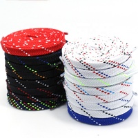 Accessoires pour baskets Cordones Zapatillas Lacets en plastique Film de basculement Lacets plats vierges personnalisés