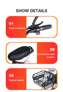 Factory Wholesale Adult City Bike 350W 48V Rear <b>Hub</b> Motor Electronic Lead-acid Battery - Product Image 6
