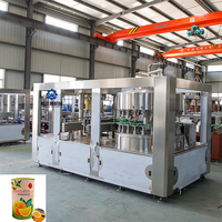 Machines automatiques de scellage de ligne de Production de mise en conserve de fruits pour le remplissage et le scellage des boîtes de conserve