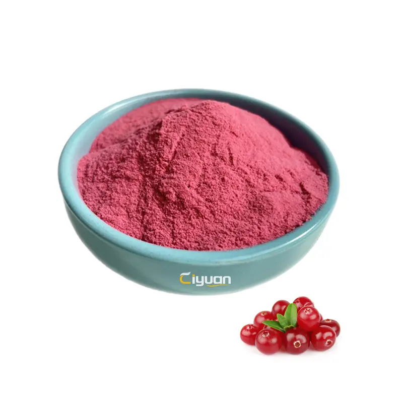 Pemasok Pabrik Bubuk Cranberry Bubuk Ekstrak Buah Cranberry Dalam Jumlah Besar