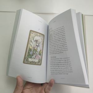 50 últimos estilos barajas de Tarot francés al por mayor carta de oráculo en línea con guía juego de mesa de adivinación Carta De Tarot - Product Image 5