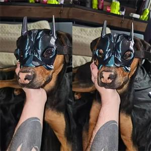 Vente en gros 3D Pet Mask Cosplay Dog Masks <span class=keywords><strong>Sm</strong></span> Dog Mask - Product Image 6