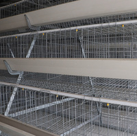 Cage d'élevage automatique de poulet en forme de A à prix compétitif, équipement d'élevage de volailles africaines en nouvel état, 160
