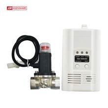 220V Standalone LPG Nature Gas Detector With Plug and Shut off Valve for Fire Alarm System in Kitchen