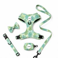 Ensemble de harnais pour chien anti-traction personnalisé, collier rembourré doux, laisse et harnais de qualité supérieure pour chien, distributeur de sacs à déjections canines, accessoires pour animaux de compagnie
