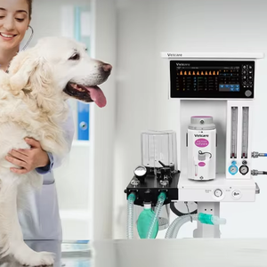 Độc quyền cấp bằng sáng chế sản xuất với tiêu chuẩn an toàn cao Máy gây mê cho động vật thông gió Máy thú y anesthsie - Product Image 1