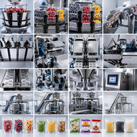 Machine d'emballage de bonbons VFFS multifonctionnelle à pesage automatique 200g 500g de Source Factory