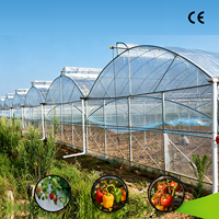 Grande serre multi-chapelles en film plastique avec structure en acier galvanisé à chaud et ventilation latérale et supérieure pour la culture commerciale de légumes et de fruits