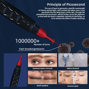 Dispositivo di Bellezza Multifunzionale 1000W 755*808*1064nm con Raffreddamento a Ghiaccio per Depilazione e Rimozione Pigmenti Tatuaggi con <span class=keywords><strong>Laser</strong></span> Pico - Product Image 5
