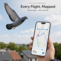 Traceur GPS OEM en temps réel pour pigeons, suivi des vols en extérieur, bagues de positionnement pour pattes, 2,2g, Bluetooth, WiFi, batterie 1 an