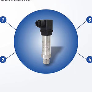 カスタマイズ可能な絶対圧力トランスミッター 低電力 正逆圧力センサー用正逆圧力保護機能付き - Product Image 1
