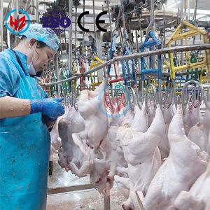 Système d'abattage de volaille à haute productivité de 300 à 15 000 BPH avec composants de roulement et de moteur, technologie de pointe, <span class=keywords><strong>service</strong></span> clé en main - Product Image 6