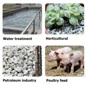 <span class=keywords><strong>Poudre</strong></span> de clinoptilolite naturelle pour l'alimentation animale, haute absorption, remise <span class=keywords><strong>en</strong></span> état des sols, rétention des nutriments, capacité d'absorption d'eau améliorée - Product Image 5