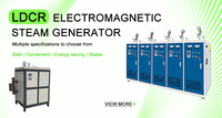 Générateur de vapeur/chaudière électromagnétique à chauffage rapide, à haute efficacité, entièrement automatique, vertical, industriel LDCR, pour sauna
