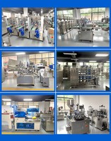Machine de fermeture pour bouchons à clapet / Machine de capsulage pour bouchons push-pull / Capsuleuse pour bouchons push-pull