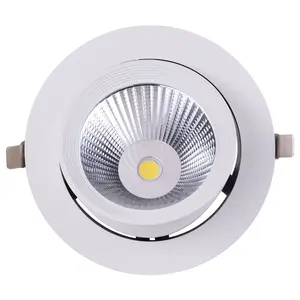 CRI80 AC85V 265V fil gövde lambası led downlight 40w gövde aşağı ışık