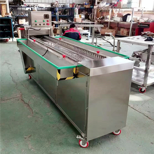 Macchina Professionale in Acciaio Inox per Tagliare Zampe di Pollo e Piedi di Pollame con Motore 220V per Uso <span class=keywords><strong>Ristorante</strong></span> - Product Image 4