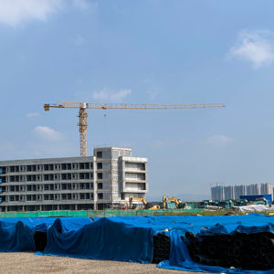 رافعة برجية مسطحة علوية قابلة للتخصيص بسعة تحميل مصنفة 8t و 10t بطول ذراع ذراع 66m - Product Image 2