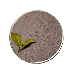 Di alta qualità elemento secondario integratore fertilizzante in polvere Kieserite fertilizzante con forza produttore e fornitore